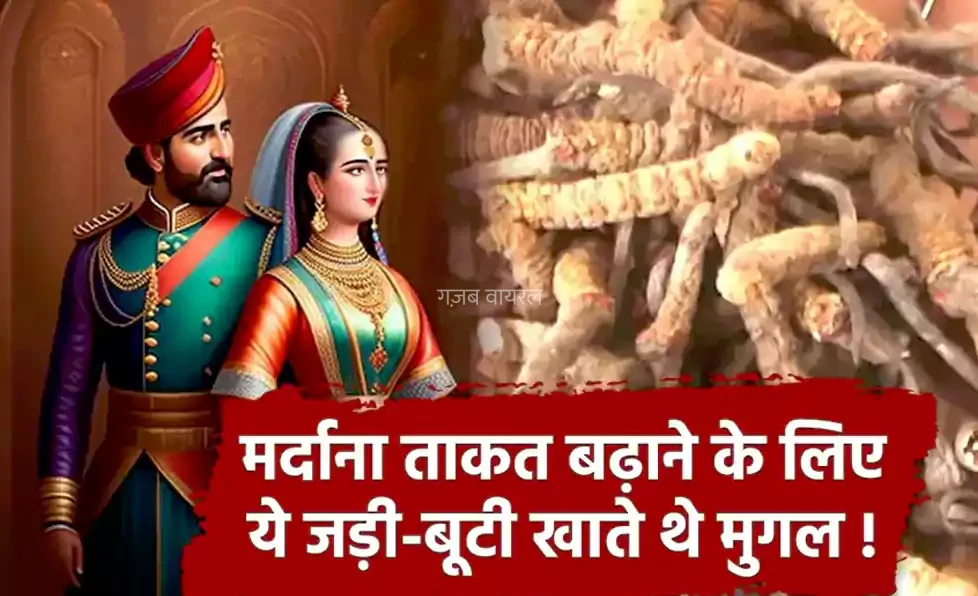 10 गुना मर्दाना ताकत बढ़ाने के लिए एक बार इसे खाकर देखें, 24 घंटे एनर्जी से रहेंगे भरपूर