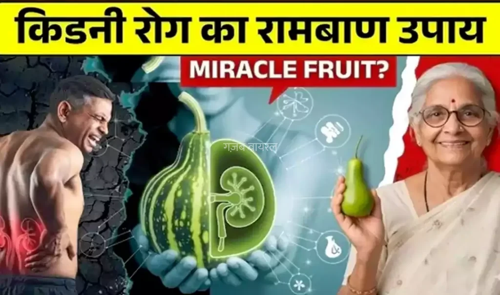 किडनी की सेहत के लिए आखिर क्यों खास माना जाता है यह फल? इसके पोषक तत्वों और संभावित फायदों के बारे में जानकर आप भी रह जाएंगे हैरान​​​