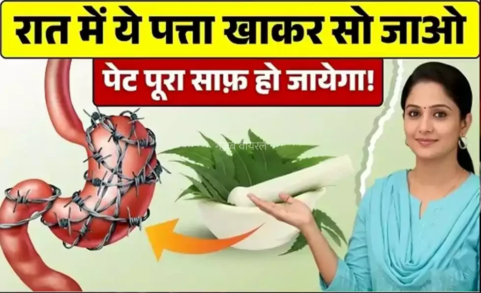 ​​ये 4 पत्ते रात में खाइए, सुबह तक आपका पेट, लिवर और आंतें हो जाएंगी एकदम क्लीन