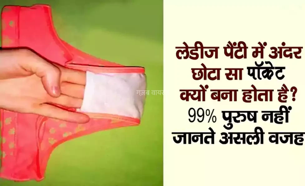 लेडीज पैंटी में अंदर छोटा सा जेब क्यों बना होता है? 99% पुरुष नहीं जानते असली वजह