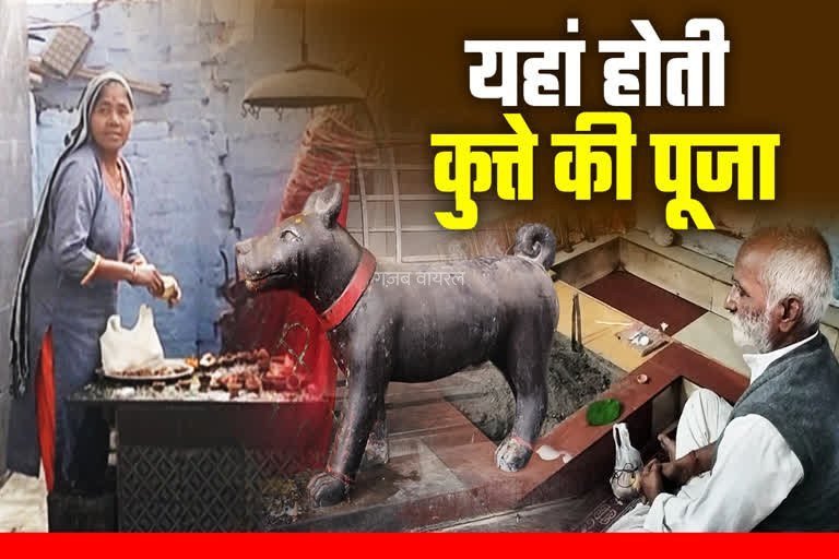 ​​UP के इस मंदिर में होती है कुत्ते की पूजा, यहां के जादुई तालाब का रहस्य जान रह जाएंगे हैरान
