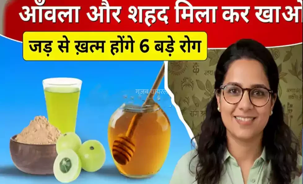 आंवला और शहद मिला कर खाओ, जड़ से खत्म होंगे ये रोग। जानिए क्यों आंवला और शहद का कॉम्बिनेशन माना जाता है आयुर्वेद में खास