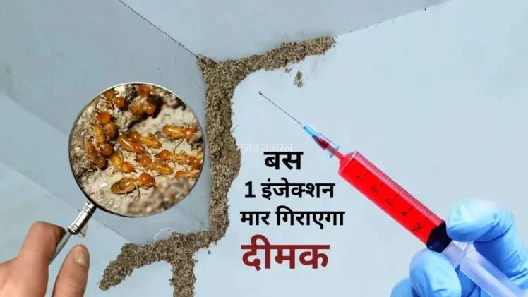दीमक से परेशान हैं? मात्र 10 रुपये में बनाएं यह शक्तिशाली इंजेक्शन… बस लगाते ही जमीन पर बेहोश होकर गिर पड़ेंगी