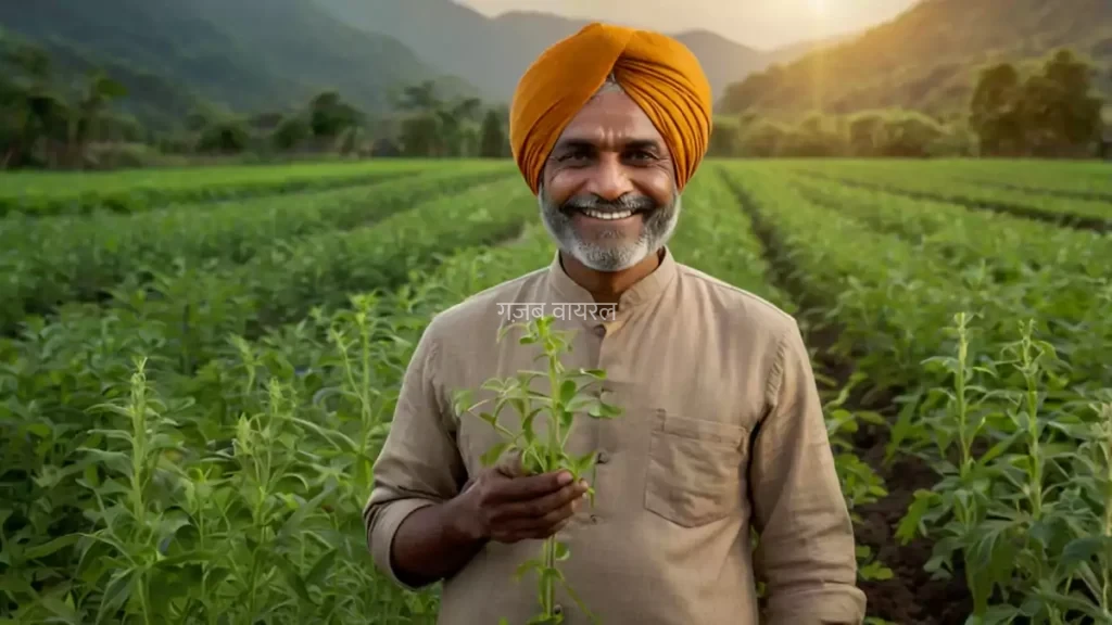 ये बीज नहीं बल्कि मुनाफे की है खान! जिसकी मार्केट में है जबरदस्त मांग। होगी बम्पर 6 लाख तक की कमाई