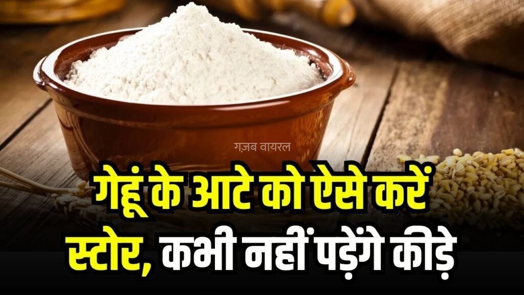 गेहूं का आटा ऐसे करें स्टोर, महीनों तक नहीं पड़ेंगे कीड़े, बड़ी कमाल की है ये ट्रिक