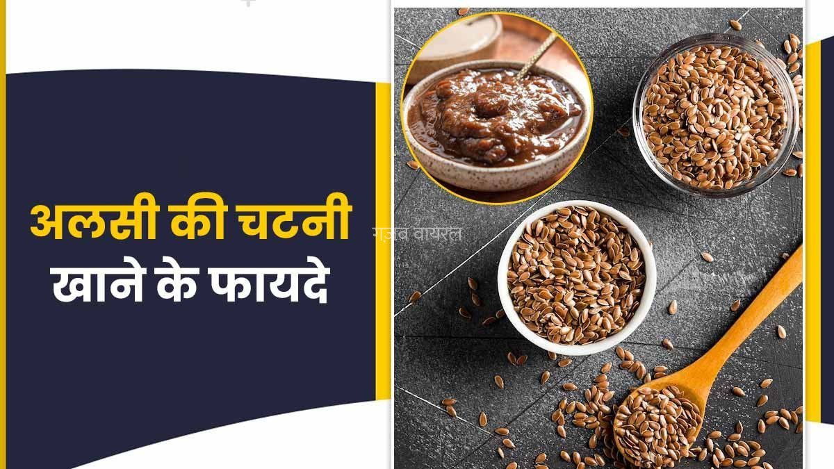 खाइए रोजाना अलसी की चटनी, कोलेस्ट्रॉल को कह दें अलविदा, इतने हैं फायदे इस चटनी के