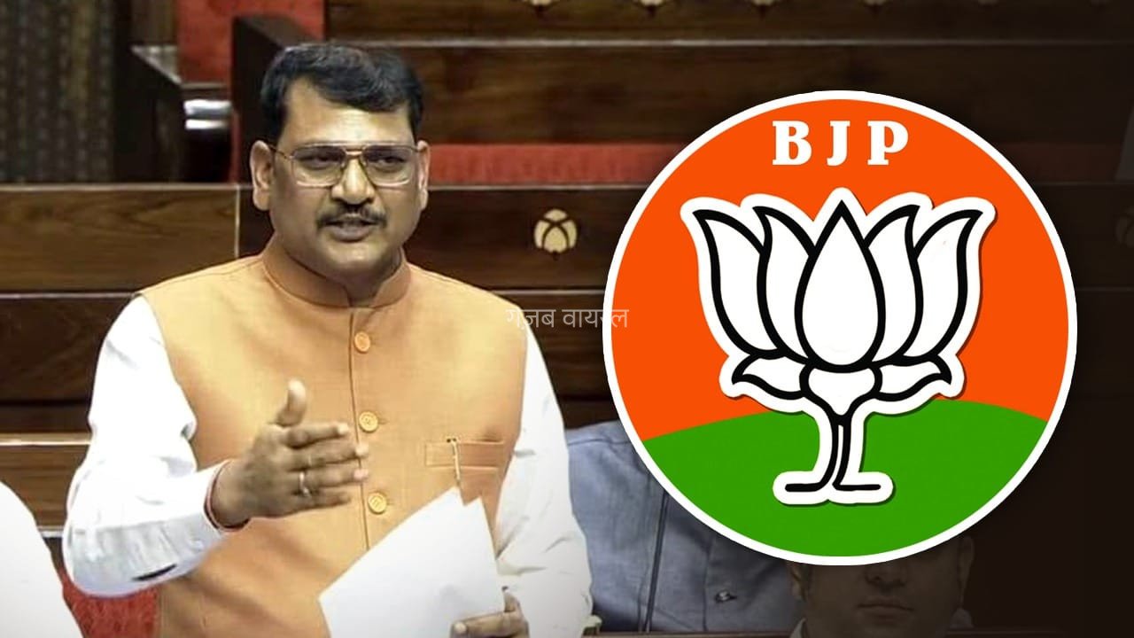 UP 2027 चुनाव से पहले BJP का बड़ा दांव, अमरपाल मौर्य को OBC मोर्चे की कमान​