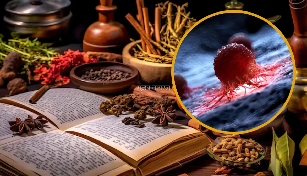 आयर्वेुद में कौन सी चीजें कैंसर को कंट्रोल कर सकती हैं, जानिए क्या खाने से Cancer का खतरा कम हो सकता है