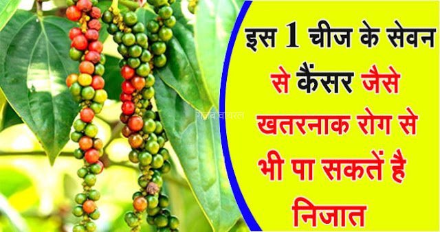 इस एक चीज के सेवन से कैंसर जैसे खतरनाक रोग से भी पा सकते है निजात​​​