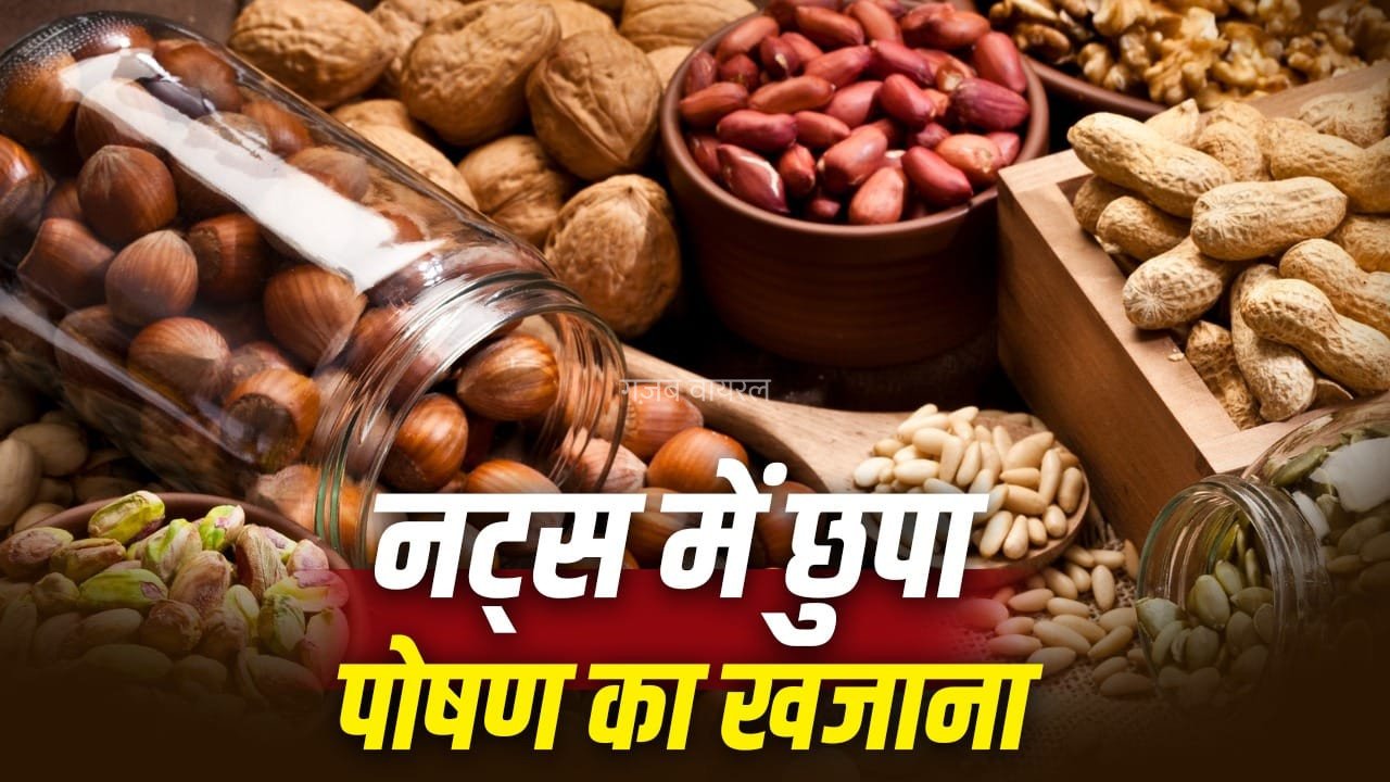 Nuts Nutrients: मूंगफली से बादाम-अखरोट तक, जान लें कौन से नट्स में कौन सा पोषक तत्व है ज्यादा