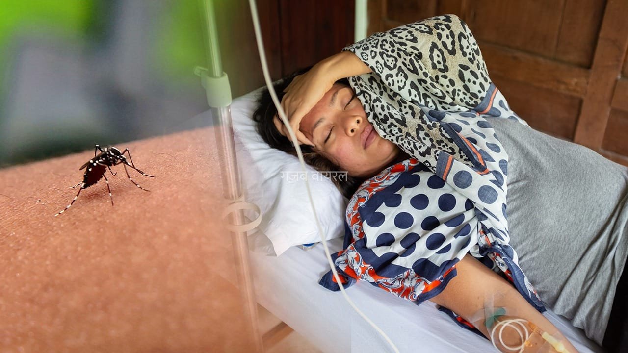 Dengue Cases in India: डेंगू में उल्टी और सिरदर्द, कब यह सामान्य लक्षण नहीं रहता? एक्सपर्ट से जानें​