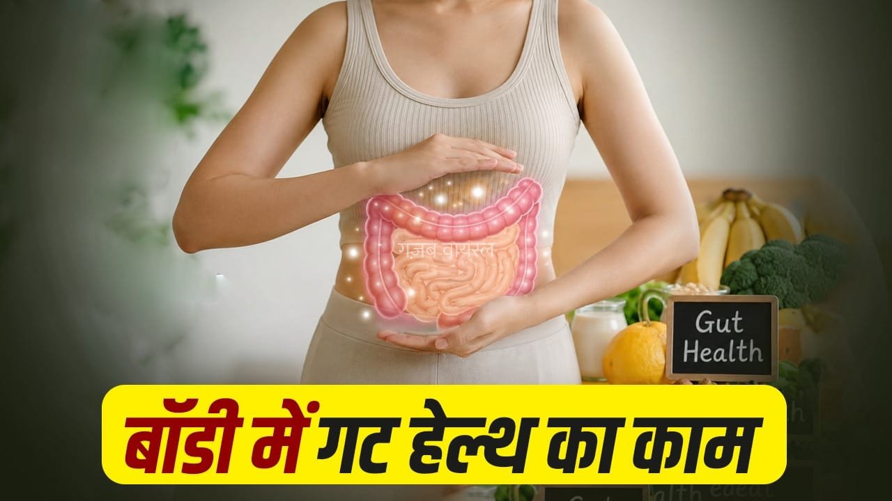 Gut Health Tips: हमारी गट हेल्थ कैसे करती है काम? एक्सपर्ट से जानें इससे जुड़ी जरूरी बातें​