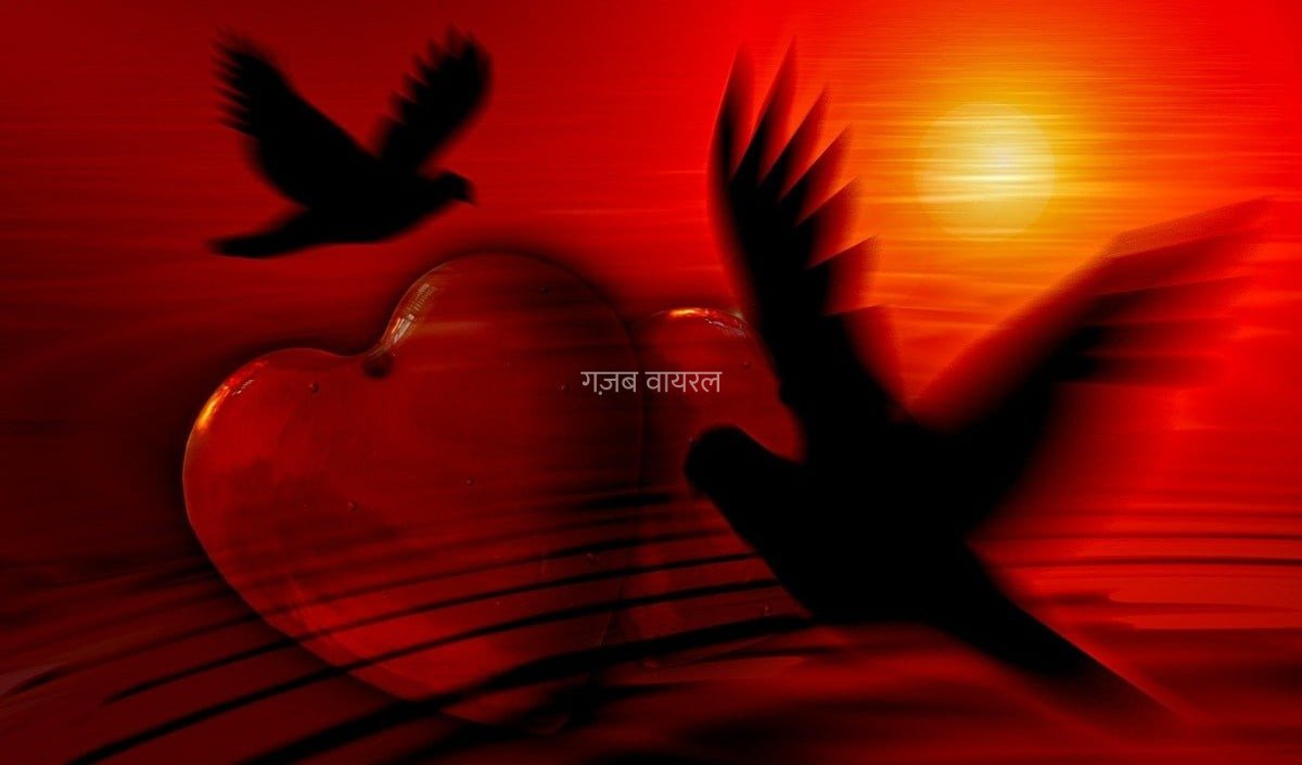 Love Horoscope For 29 August 2026 | आज का प्रेम राशिफल 29 अगस्त  2026 | प्रेमियों के लिए कैसा रहेगा आज का दिन​