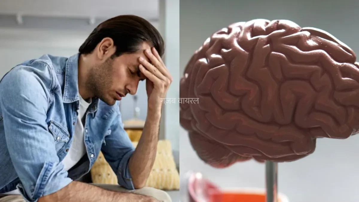ब्रेन ट्यूमर के इन शुरुआती लक्षणों को न करें नजरअंदाज, एक्सपर्ट से जानें कैसे करें संकेतों की पहचान​​​
