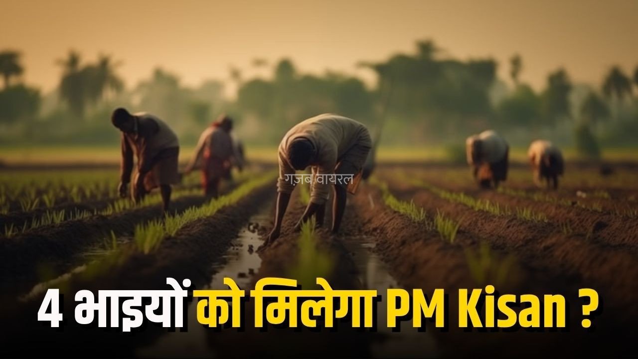 PM Kisan: 4 भाइयों के नाम है जमीन तो क्या सभी को मिलेगा ₹6,000 का लाभ? जानें क्या कहता है PM Kisan का नियम