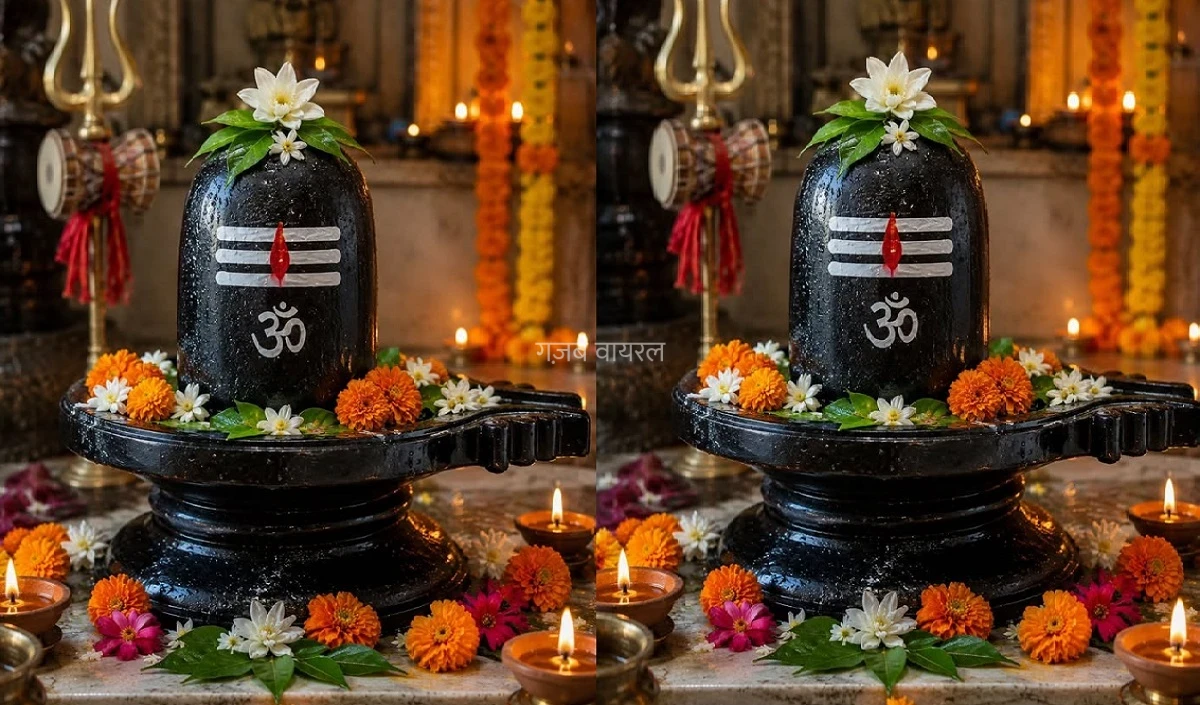 Rudrabhishek In Sawan: महादेव की कृपा के लिए क्यों जरूरी है Rudrabhishek? जानें इसके Benefits और नियम​