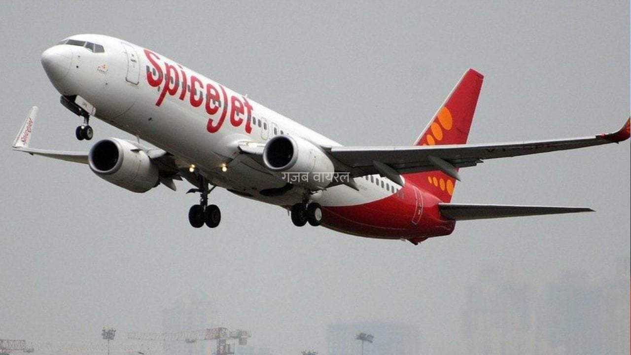 स्पाइसजेट को NCLT से मिली बड़ी राहत, नए सिरे से उड़ान भरने की तैयारी में एयरलाइन​