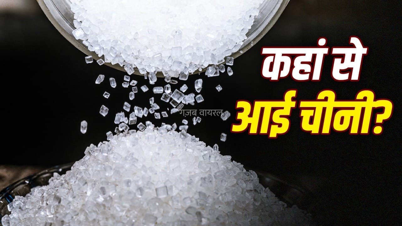 Sugar Price: क्या भारत में पहली बार बनी थी चीनी, जो फारस से होकर अरब तक पहुंची?​