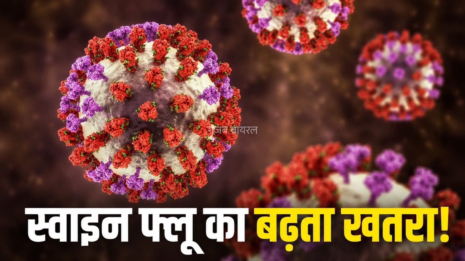 देश में स्वाइन फ्लू पर बढ़ी चिंता, जानें इसके कारण, लक्षण और बचाव