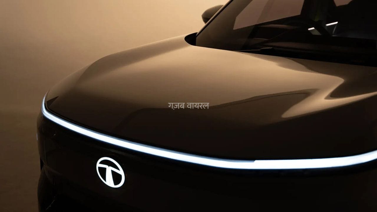 टाटा नहीं करेगी चीनी बैटरियों का इस्तेमाल! कंपनी ने बनाया ये बड़ा प्लान​