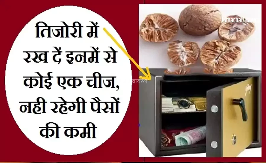 तिजोरी में रख दें इनमें से कोई एक चीज, हमेशा बनी रहेगी धन की बरकत और नहीं होगी पैसों की कमी​​​