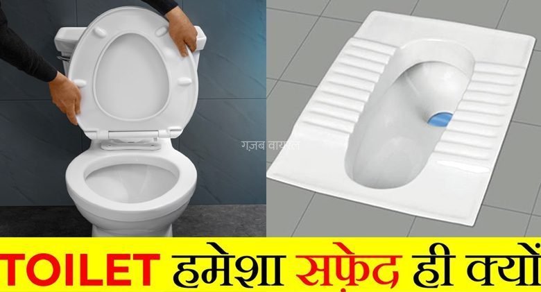 पोटी वाली कमोड सफेद रंग की ही क्यों होती है? लाल या नीली क्यों नहीं होती? वजह जान लगेगा झटका