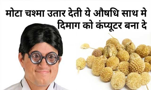 मोटे से मोटा चश्मा उतार देती है ये औषधि, साथ में दिमाग को कंप्यूटर बना देती है