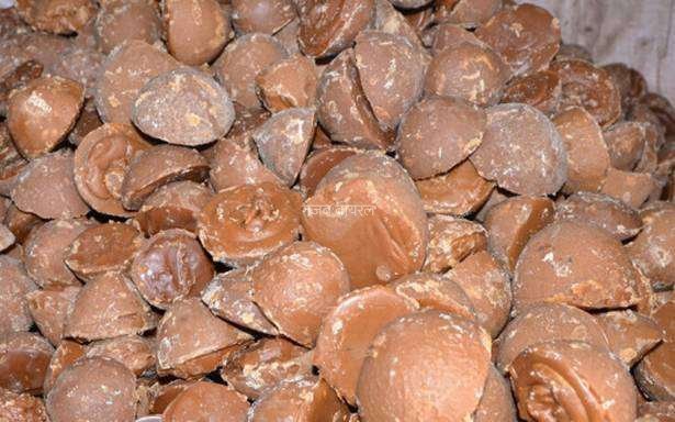 एक बार इसे खा लें बस, राजा-महाराजा करते थे इन जड़ी बूटियों का इस्‍तेमाल​​​