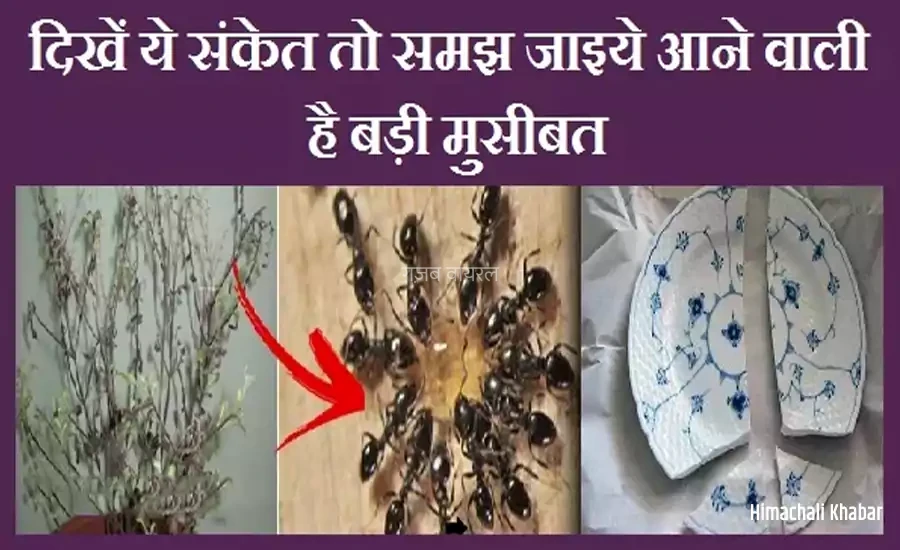 अगर आपको भी दिखें ये संकेत तो समझ जाइये आने वाली है बड़ी मुसीबत, इग्नोर करने की गलती न करें​​​