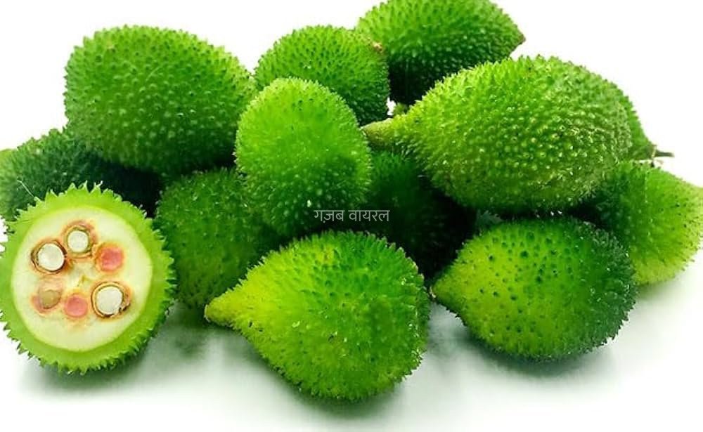 कंटोला नाम की​​ इस सब्जी को लोग मानते है बेहद जबरदस्त, मधुमेह के रोगियों के लिए इसका सेवन है बेहद लाभदायक