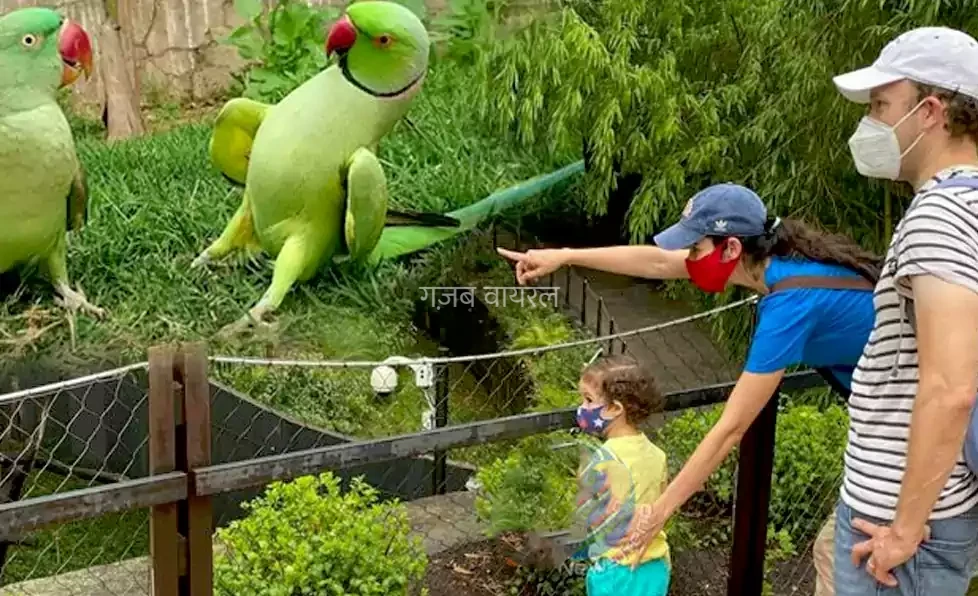 330