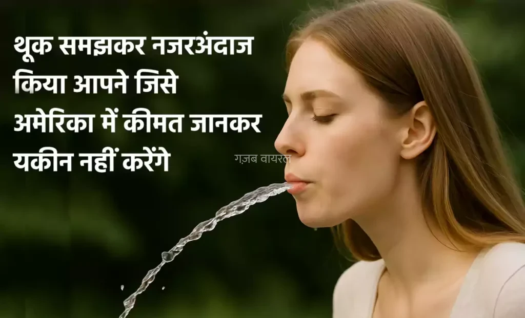 थूक समझकर नजरअंदाज किया आपने जिसे अमेरिका में उसकी डिमांड इतनी कि कीमत जानकर यकीन नहीं करेंगे