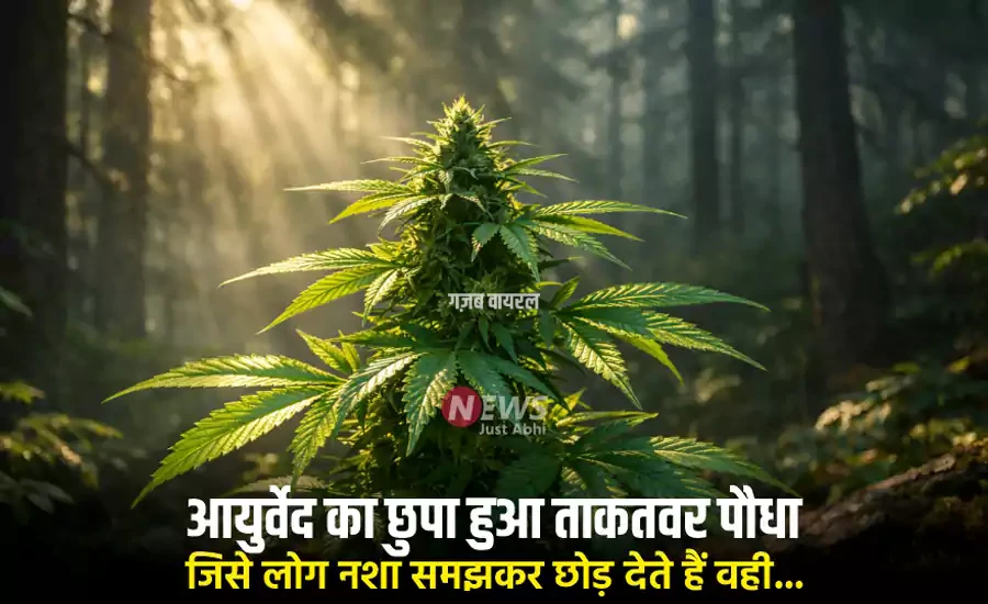 ayurveda ka chhupa hua