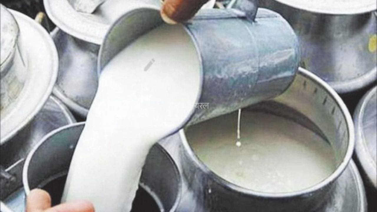 दूध में मिलावट है या नहीं, 4 ML में चलेगा पता! रुहेलखंड यूनिवर्सिटी ने बनाया अनोखा पोर्टेबल टेस्टर​
