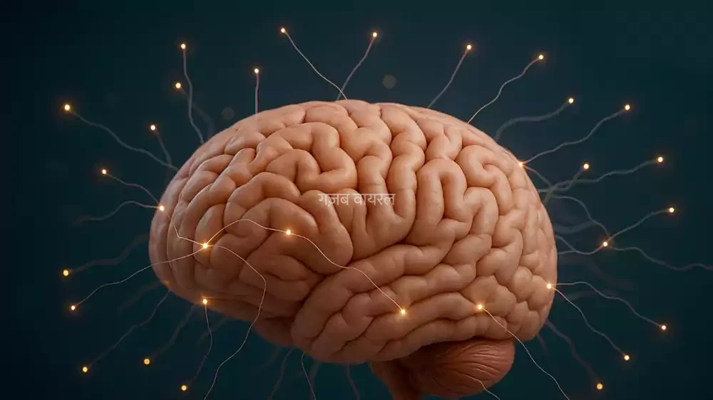 दिमाग का ‘कचरा’ करना है साफ? भूलकर भी नींद को न करें नजरअंदाज! रिसर्च ने बताया ब्रेन डिटॉक्स का आसान तरीका