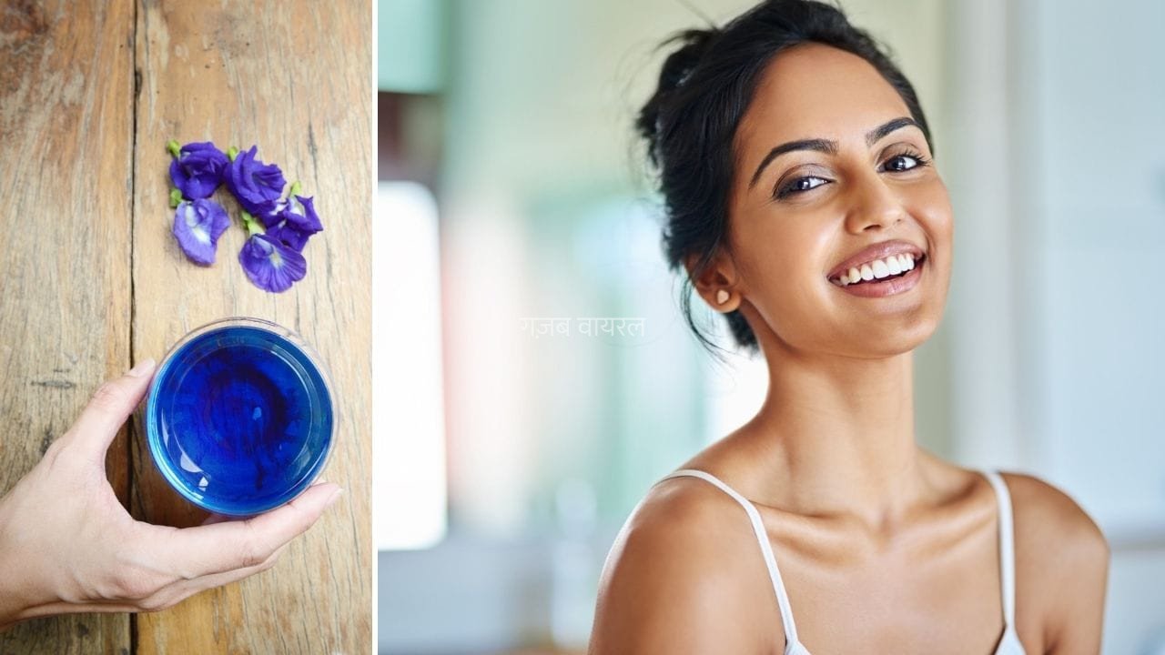 Aparajita Flower for Skin: चेहरे को निखारेगा अपराजिता का फूल, जान लें इसका सीरम और फेस पैक बनाने का तरीका​