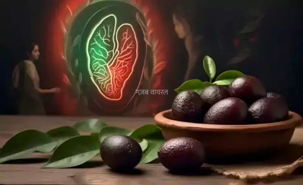 दवाएं छोड़ दीजिए,​​ लिवर को फिर से ताकतवर बनाने का देसी नुस्खा छिपा है इस फल में। जानिए कैसे