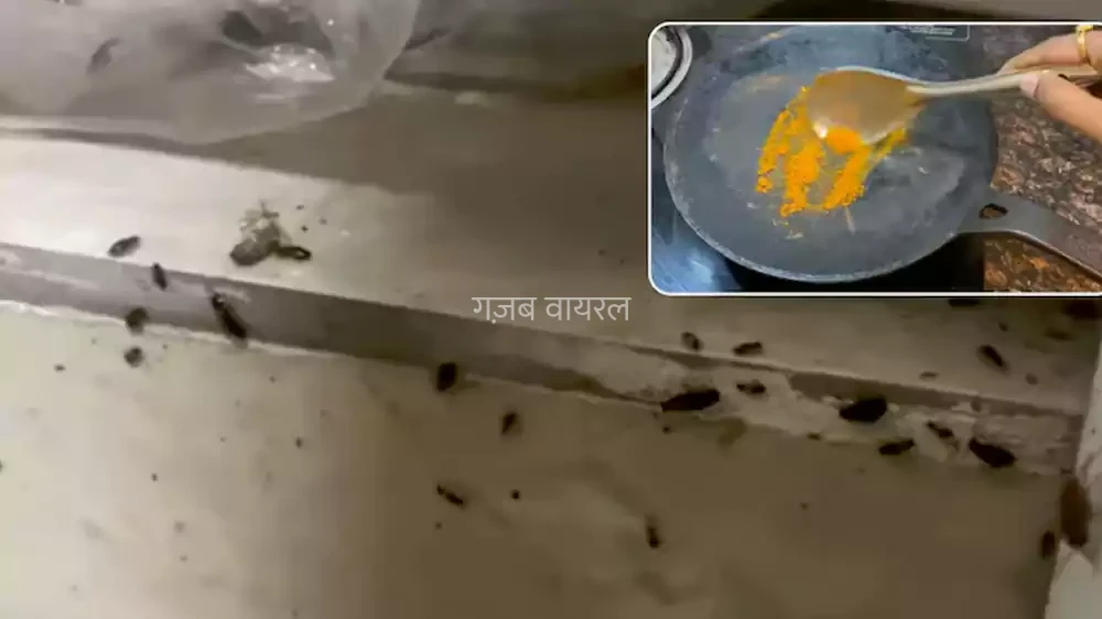 haldi