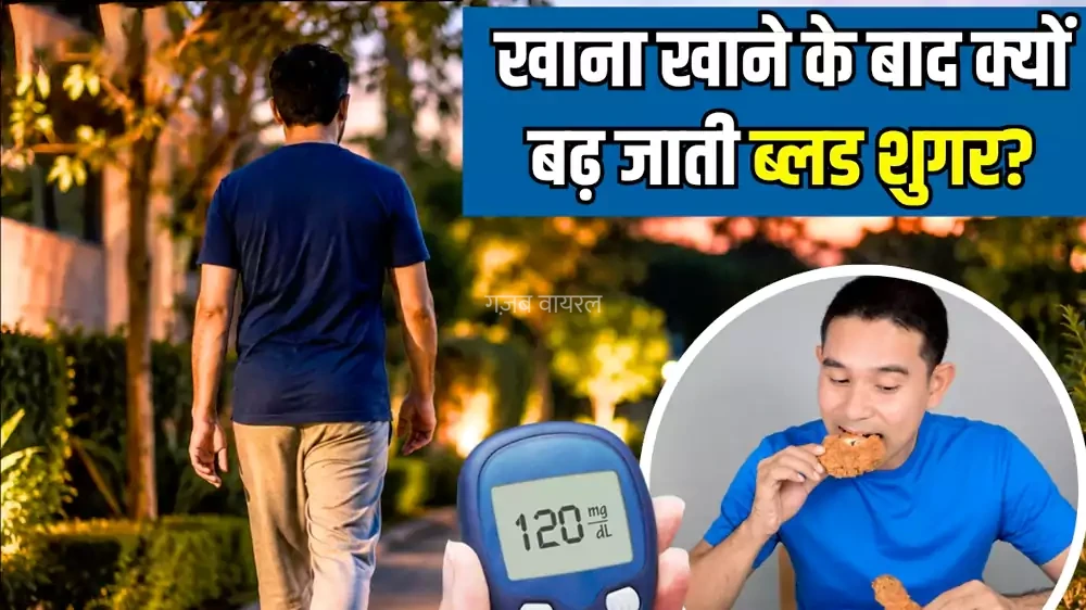 खाना खाने के बाद ब्लड शुगर क्यों बढ़ती है? Dinner के बाद अपनाएं बस 10 मिनट की यह आदत, धड़ाम होगा पारा