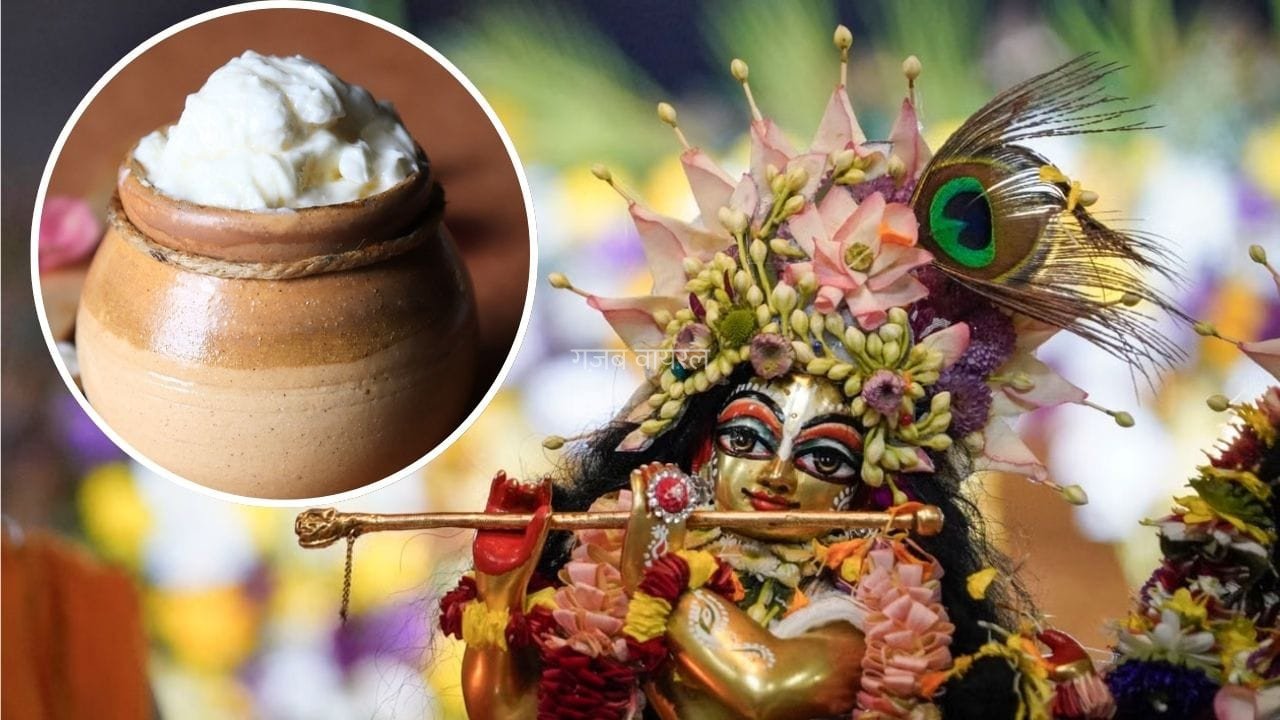 Janmashtami Krishna Bhog: कान्हा के लिए ऐसे तैयार करें माखन-मिश्री का भोग, कथावाचक पुंडरीक गोस्वामी की पत्नी की रेसिपी