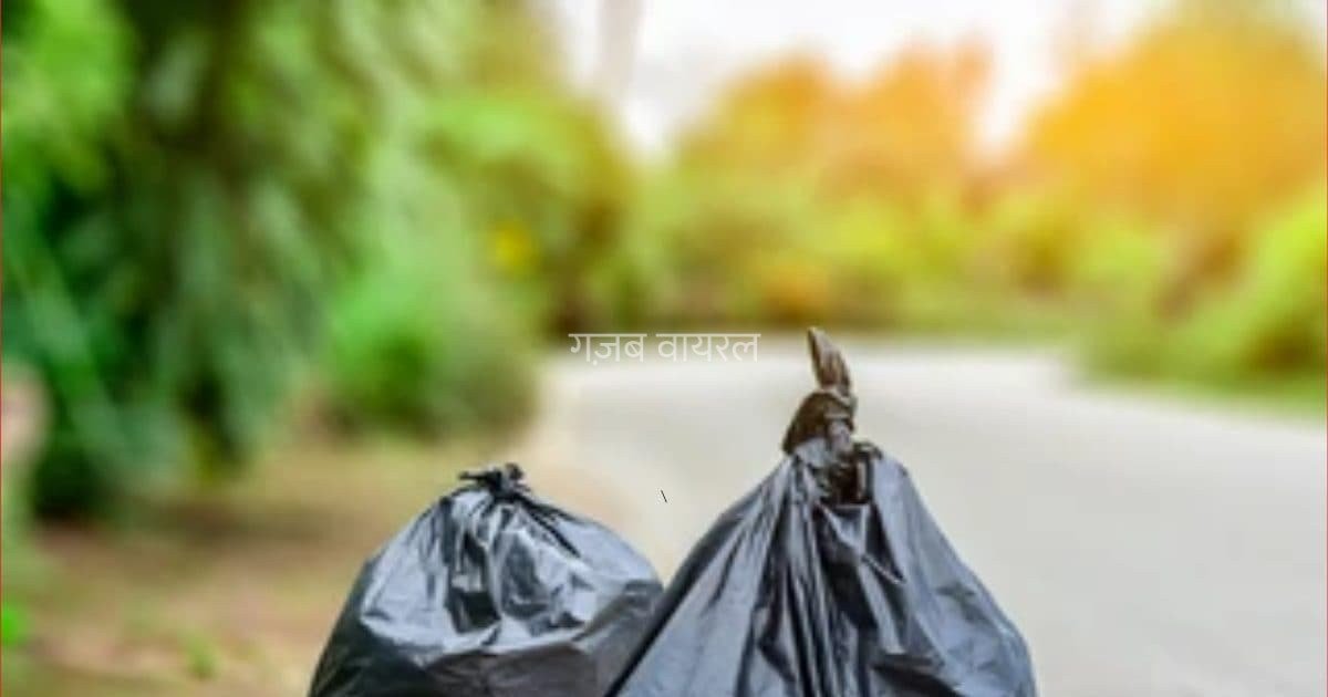 plastic-bag-2025-08-c83afda33ab86c7a1d1baf5336f99f68-16×9