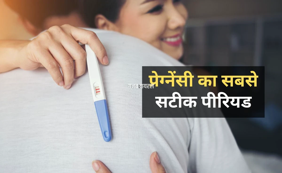 इन पांच दिनों में होते हैं प्रेग्नेंसी के सबसे ज्यादा चांस, 99 फीसदी लोग करते हैं ये गलती