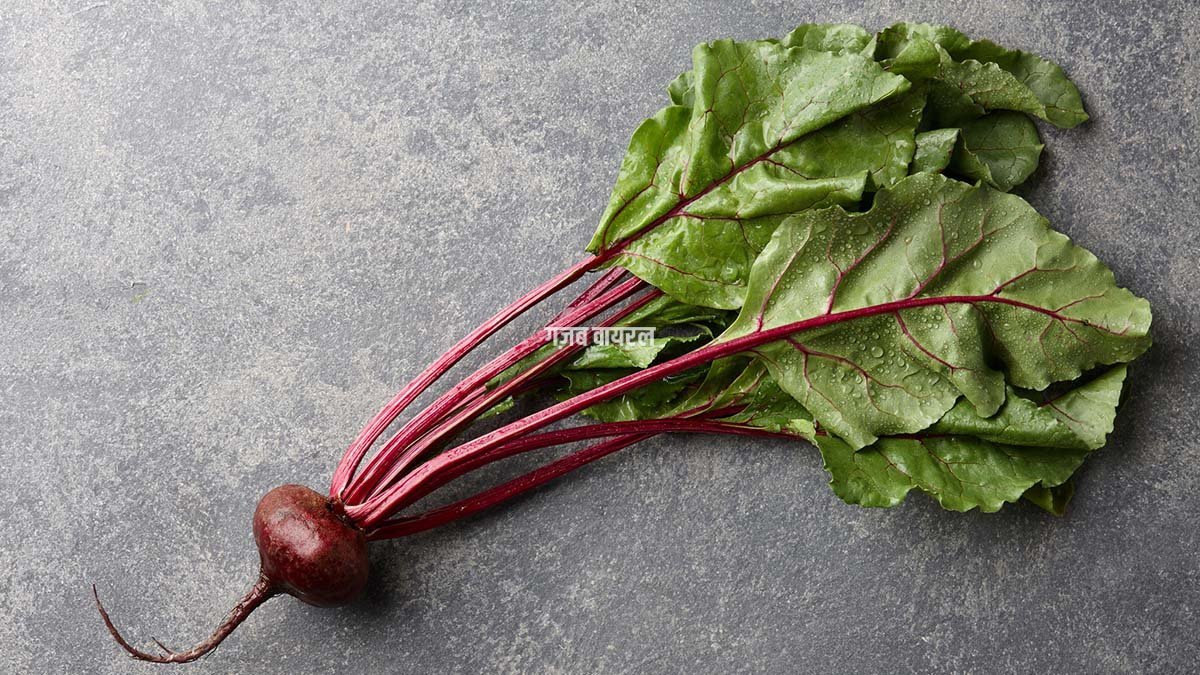Beet-leaves