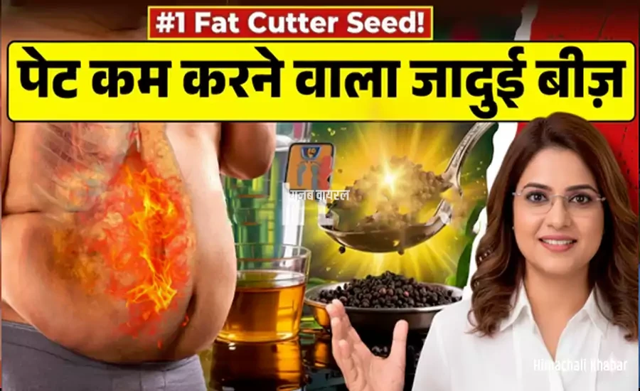 fat cutter seeds