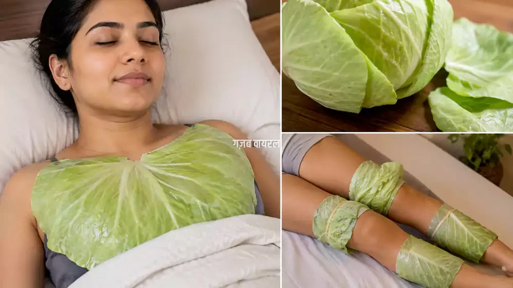 gobhi ke patte chhati par