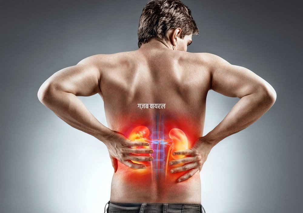 kidney
