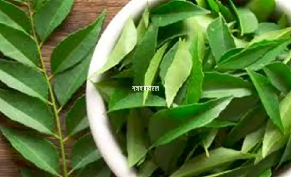 kriptta ka kamal