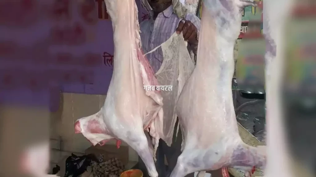 meat
