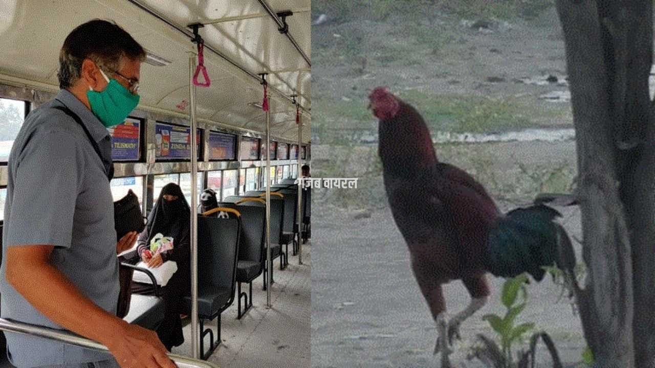 rooster-ticket